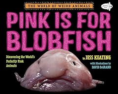 Pink blobfish discovering for sale  Delivered anywhere in USA 