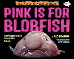 Pink blobfish discovering for sale  Delivered anywhere in USA 