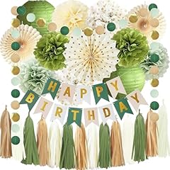 Green birthday party for sale  Delivered anywhere in USA 