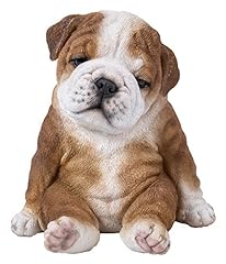 Sitting sleepy bulldog for sale  Delivered anywhere in USA 