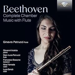 Serenade flute violin for sale  Delivered anywhere in UK