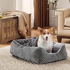 Heymamba small dog for sale  Delivered anywhere in UK