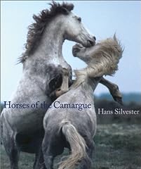 Horses camargue for sale  Delivered anywhere in USA 