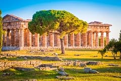 Quadro tela archeologico usato  Spedito ovunque in Italia 