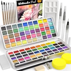 Nicpro kit aquarelle d'occasion  Livré partout en France