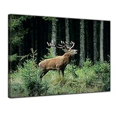 Wandbild hirsch 70x50 gebraucht kaufen  Wird an jeden Ort in Deutschland