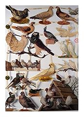 Glanzbilder 7299 vogel gebraucht kaufen  Wird an jeden Ort in Deutschland