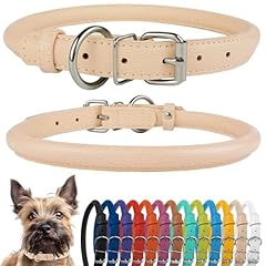 Collardirect collare per usato  Spedito ovunque in Italia 
