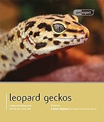 Leopard gecko pet d'occasion  Livré partout en France