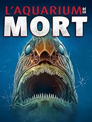 Aquarium mort d'occasion  Livré partout en France