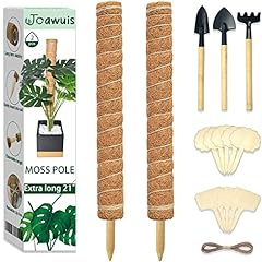 Moss pole inches for sale  Delivered anywhere in UK