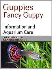 Fancy guppies for sale  Delivered anywhere in USA 