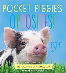 Pocket piggies opposites for sale  Delivered anywhere in USA 