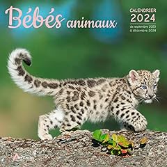Calendrier bébés animaux d'occasion  Livré partout en France