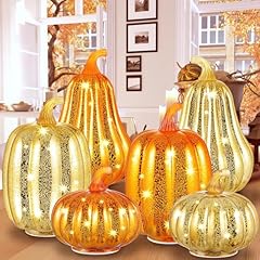 Riakrum pack thanksgiving for sale  Delivered anywhere in USA 