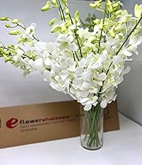 Dendrobium orchids white for sale  Delivered anywhere in USA 