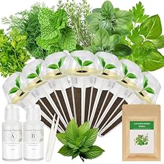 Gourmet herbs seed for sale  Delivered anywhere in USA 