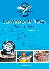 Bible illustrée poissons d'occasion  Livré partout en France