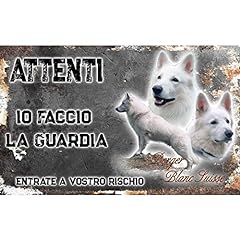 Attenti cane pastore usato  Spedito ovunque in Italia 