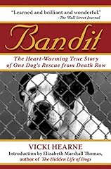 Bandit the heart d'occasion  Livré partout en France