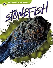 Stonefish for sale  Delivered anywhere in UK
