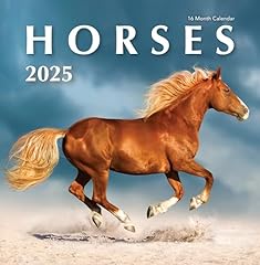 2025 horses hangable for sale  Delivered anywhere in USA 
