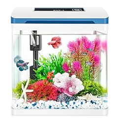 Small fish tank for sale  Delivered anywhere in USA 