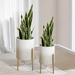 Oakrain mid century for sale  Delivered anywhere in USA 