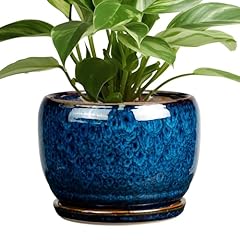 Sqowl ceramic planter for sale  Delivered anywhere in USA 