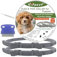 Flea tick collar for sale  Delivered anywhere in USA 