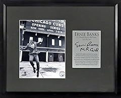 Chicago cubs ernie for sale  Delivered anywhere in USA 