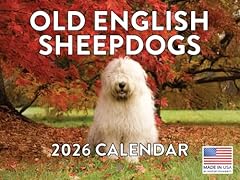 Old english sheepdog for sale  Delivered anywhere in USA 
