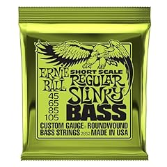 Ernie ball regular usato  Spedito ovunque in Italia 