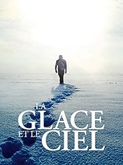 Glace ciel d'occasion  Livré partout en France