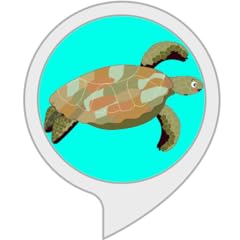 Pet turtle for sale  Delivered anywhere in UK