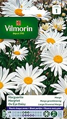 Vilmorin 5217241 chrysanthème d'occasion  Livré partout en France