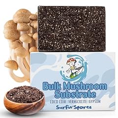 Surfin spores premium for sale  Delivered anywhere in USA 