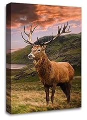 Large highland stag for sale  Delivered anywhere in UK