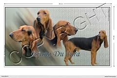 Pets easy autocollant d'occasion  Livré partout en France