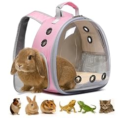 Bunny carrier guinea for sale  Delivered anywhere in USA 