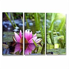 Karo italien lotus gebraucht kaufen  Wird an jeden Ort in Deutschland