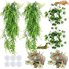 Reptile hanging plants for sale  Delivered anywhere in UK