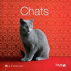 Chats d'occasion  Livré partout en Belgiqu