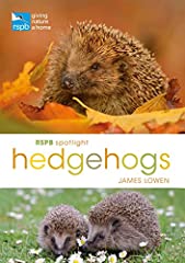 RSPB Spotlight Hedgehogs for sale  Delivered anywhere in UK
