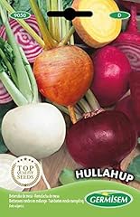 Germisem hullahup colore usato  Spedito ovunque in Italia 