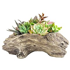 Aclema succulent planters for sale  Delivered anywhere in USA 