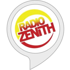 Radio zenith usato  Spedito ovunque in Italia 