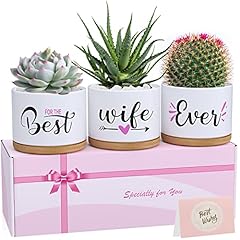 Valentines day birthday for sale  Delivered anywhere in UK