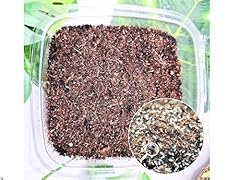 60g live springtails for sale  Delivered anywhere in UK