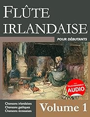 Flûte irlandaise débutants d'occasion  Livré partout en France